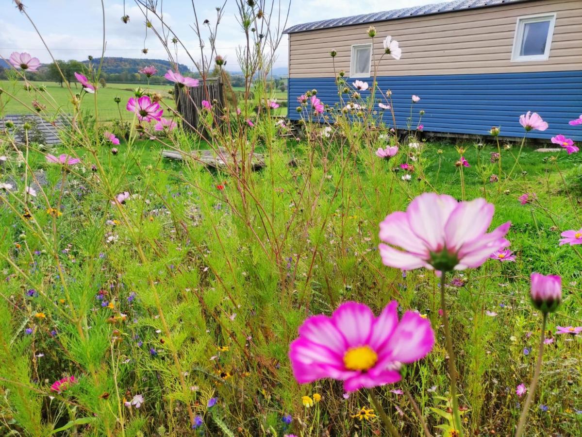 Logement Insolite Au Coeur De L'Auvergne Rochefort-Montagne Exterior foto